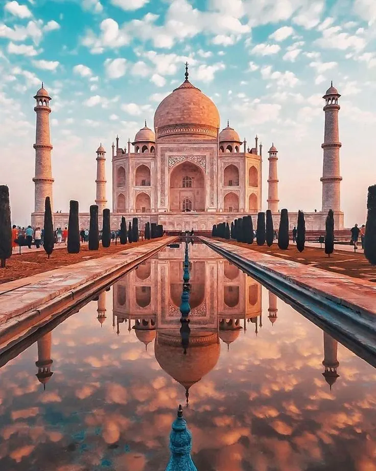 الهند